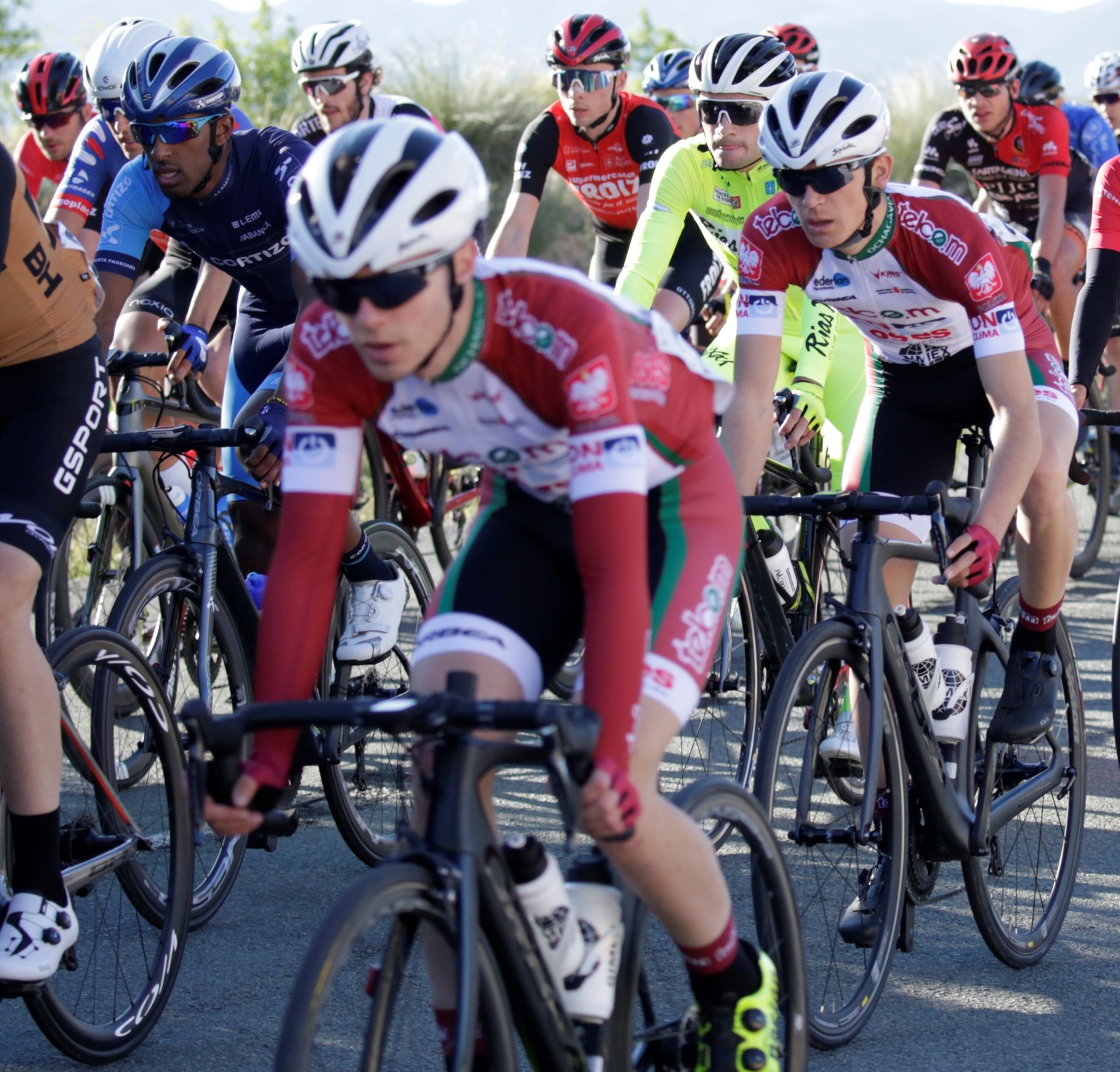 Telcom On Clima Osés